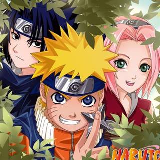 Sakura Sasuke PC wallpaper