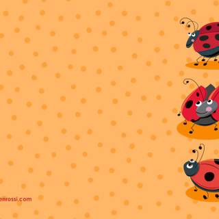 Ladybug cute wallpaper