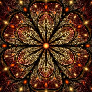 Fractal flower shapes pattern HD wallpaper