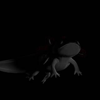 Black axolotl wallpaper