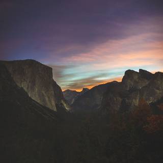 Nature iPhone 11 Pro Max wallpaper