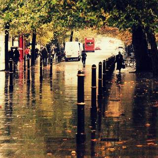 Autumn city rain wallpaper