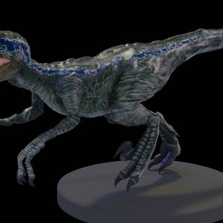 Blue Velociraptor wallpaper