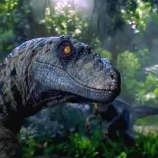 Blue Velociraptor wallpaper