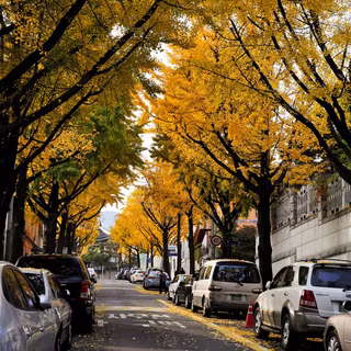 Korean aesthetic autumn wallpaper