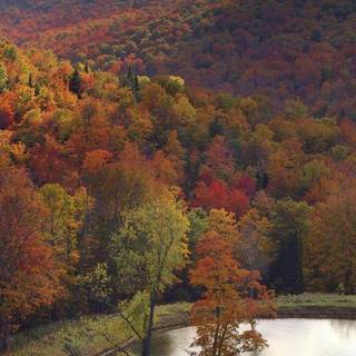 USA autumn wallpaper