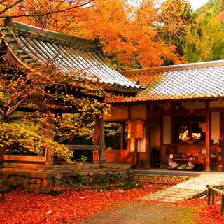 Japaneses autumn wallpaper