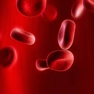 Red blood cells wallpaper