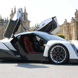 Vanda Dendrobium wallpaper