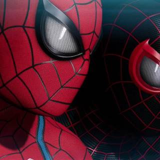Marvel Spider-Man 2 wallpaper