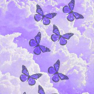 iPhone purple butterfly wallpaper