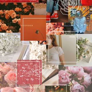 LGBT aesthetic collage wallpaper