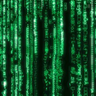 The Matrix 4 Resurrections wallpaper