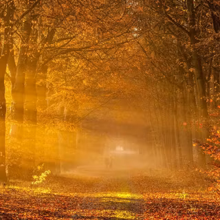 Autumn people wallpaper