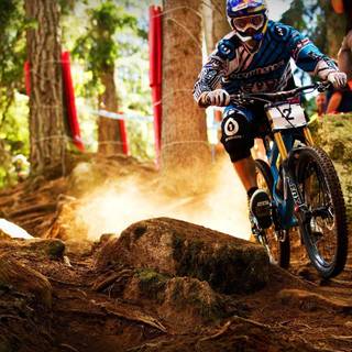 Enduro MTB wallpaper