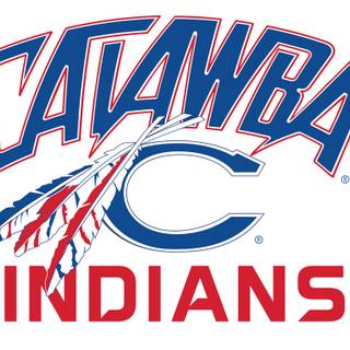 College logo wallpaper