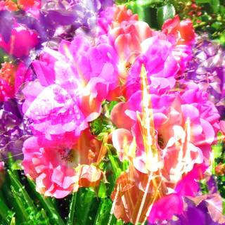 Colorful flowers abstract wallpaper