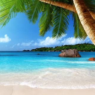 Summer coast wallpaper