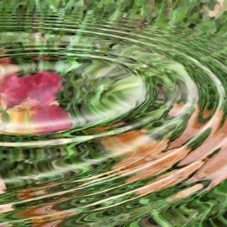 Autumn leaf water wallpaper