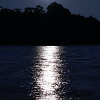 Reflections in the water wallpaper