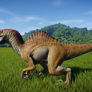 Spinoraptor wallpaper