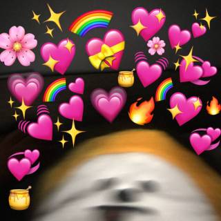 Love memes wallpaper