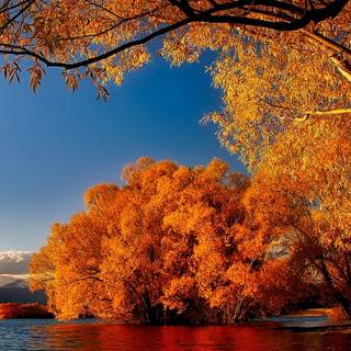 iPhone 12 Pro Max autumn wallpaper