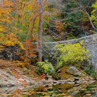 Panoramic autumn wallpaper