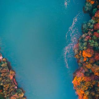 Aerial view autumn wallpaper