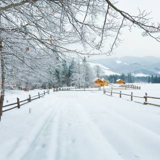 Relaxing winter wallpaper
