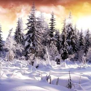 Relaxing winter wallpaper