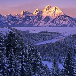 Winter Grand Teton wallpaper