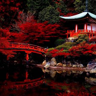 Autumn Japan 4k wallpaper