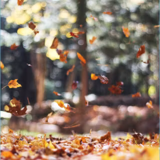 Cozy autumn cartoon wallpaper