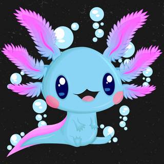 Blue axolotl wallpaper