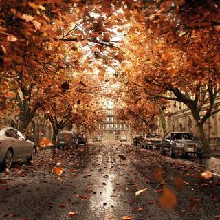 Autumn city wallpaper