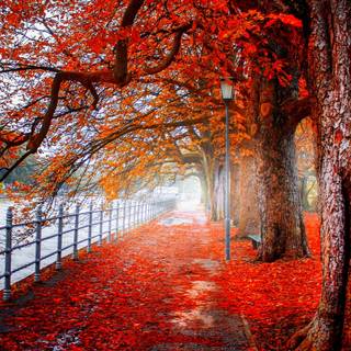 Channel autumn wallpaper