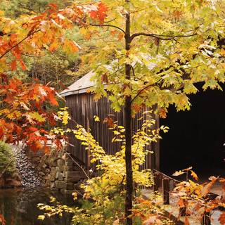 Autumn covered bridges wallpaper