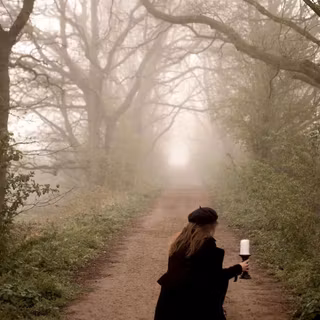 Autumn academia wallpaper