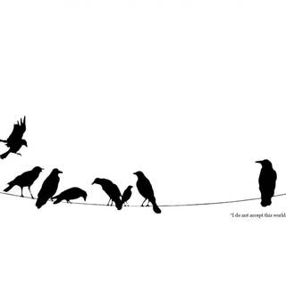 White lines wallpaper