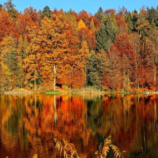 European autumn wallpaper