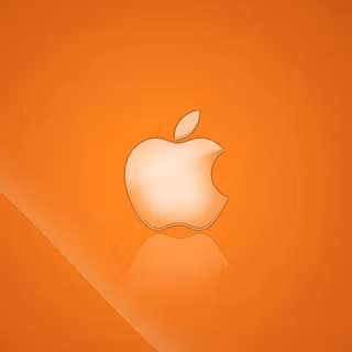 Burnt orange wallpaper