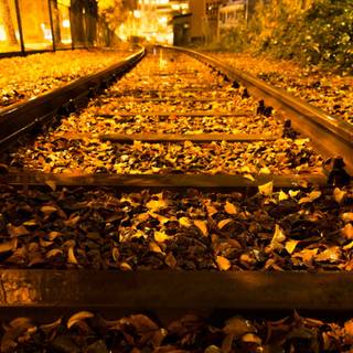 Autumn railroad wallpaper