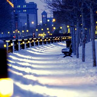 Winter street night wallpaper