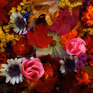 Autumn desktop collage wallpaper