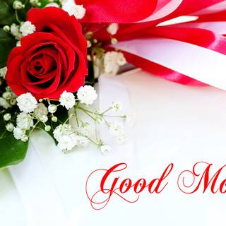 Good morning flowers HD wallpaper