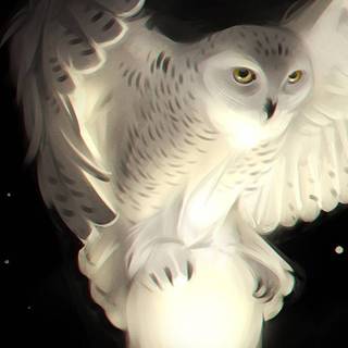Harry Potter owl wallpaper