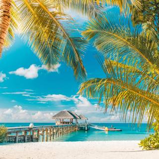 Tourism Day wallpaper