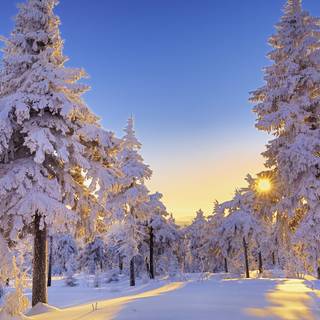 Desktop HD winter wallpaper
