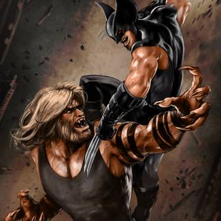 Wolverine vs Sabretooth wallpaper